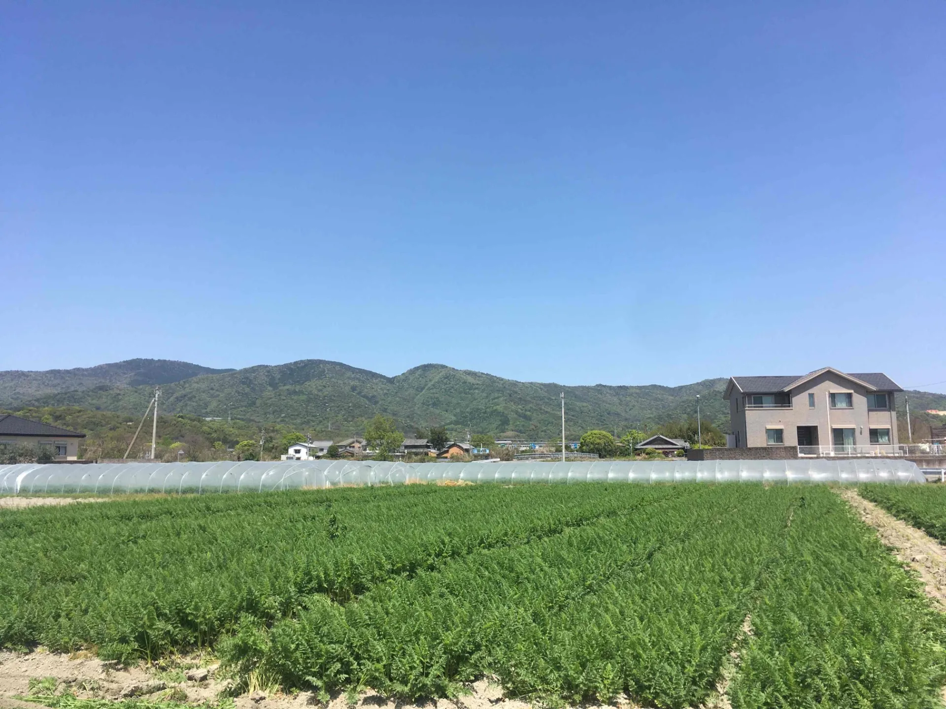 ホームページを開設いたしました。