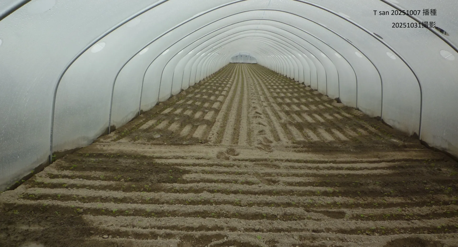 細粒除草剤散布機 使用後の状況